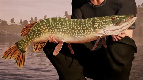 Fishing Sim World reckons it's 'the most authentic .